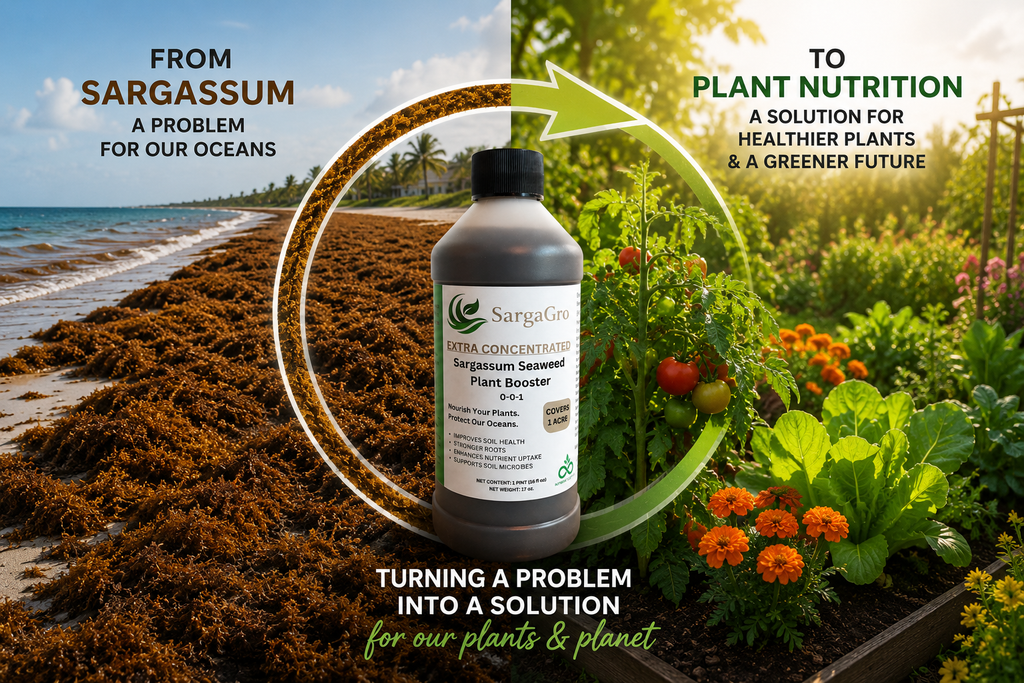 SargaGro Extra Concentrated Seaweed Plant Booster
